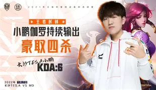 挑战王者:绝杀获胜瞬间照耀球场的简单介绍 挑战王者:绝杀获胜瞬间照耀球场的简单介绍